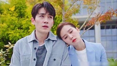 网友爆料大结局视频下载,揭秘剧情高潮与结局悬念