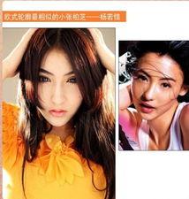 娱乐圈八卦爆料张柏芝是真的吗